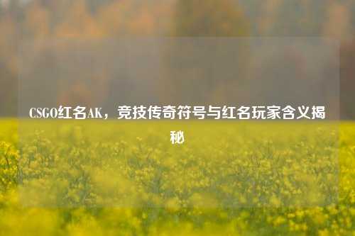 CSGO红名AK,竞技传奇符号与红名玩家含义揭秘