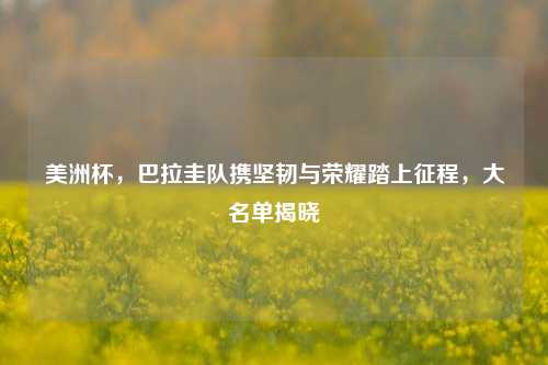 美洲杯,巴拉圭队携坚韧与荣耀踏上征程,大名单揭晓