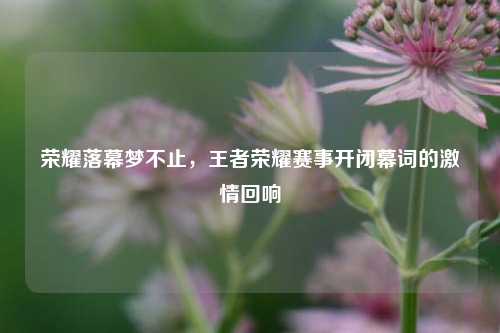 荣耀落幕梦不止,王者荣耀赛事开闭幕词的激情回响