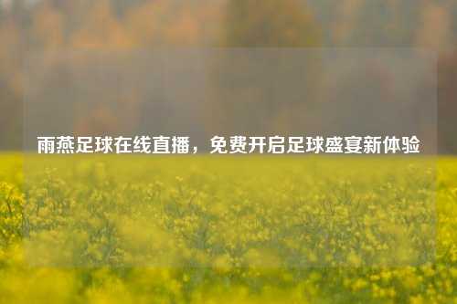 雨燕足球在线直播，免费开启足球盛宴新体验