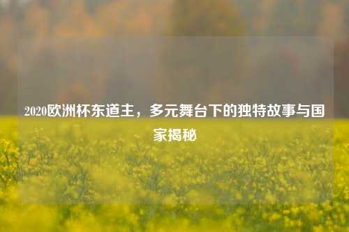 2020欧洲杯东道主,多元舞台下的独特故事与国家揭秘