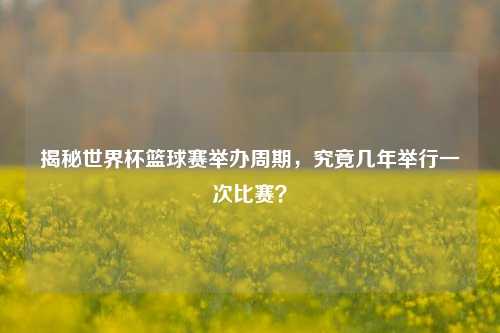 揭秘世界杯篮球赛举办周期，究竟几年举行一次比赛？
