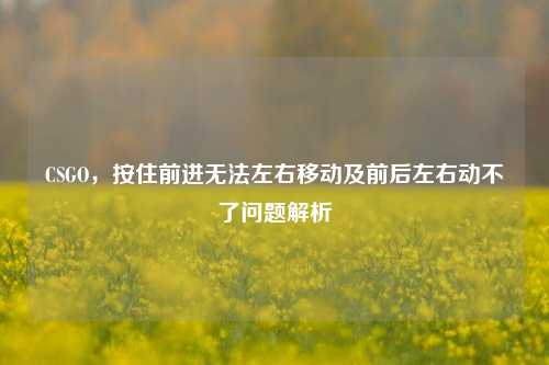 CSGO,按住前进无法左右移动及前后左右动不了问题解析