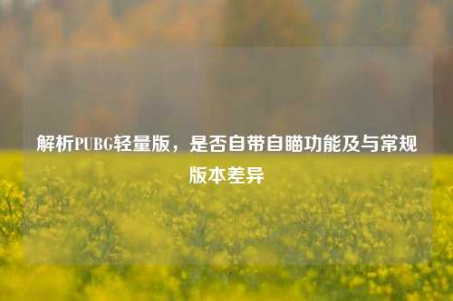 解析PUBG轻量版,是否自带自瞄功能及与常规版本差异