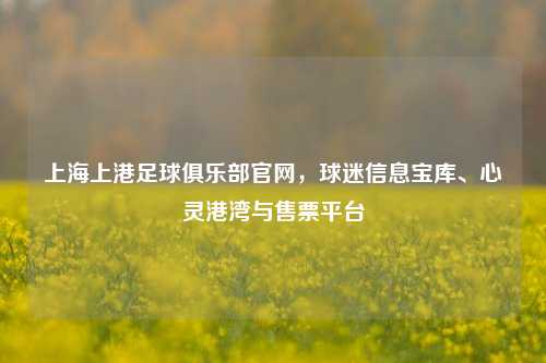 上海上港足球俱乐部官网，球迷信息宝库、心灵港湾与售票平台