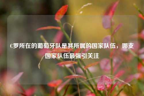 C罗所在的葡萄牙队是其所属的国家队伍,哪支国家队伍最强引关注