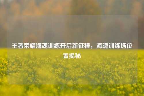 王者荣耀海魂训练开启新征程,海魂训练场位置揭秘