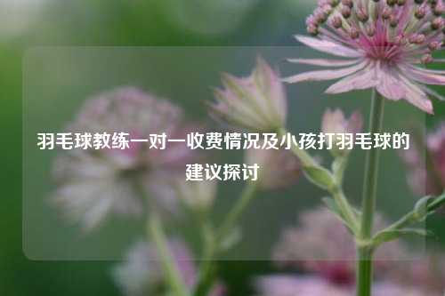羽毛球教练一对一收费情况及小孩打羽毛球的建议探讨