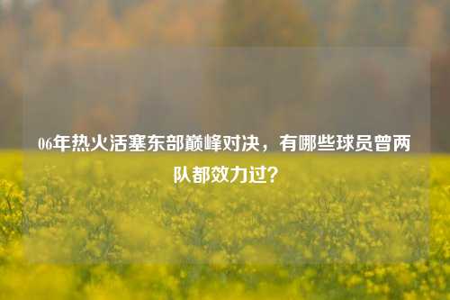 06年热火活塞东部巅峰对决,有哪些球员曾两队都效力过?