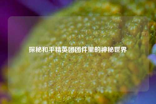 探秘和平精英团团件里的神秘世界