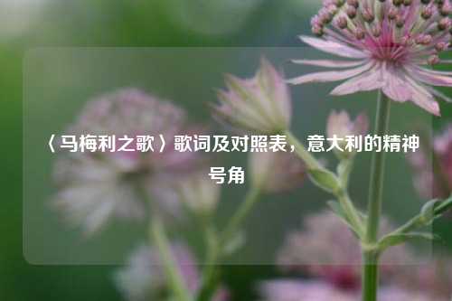 〈马梅利之歌〉歌词及对照表,意大利的精神号角
