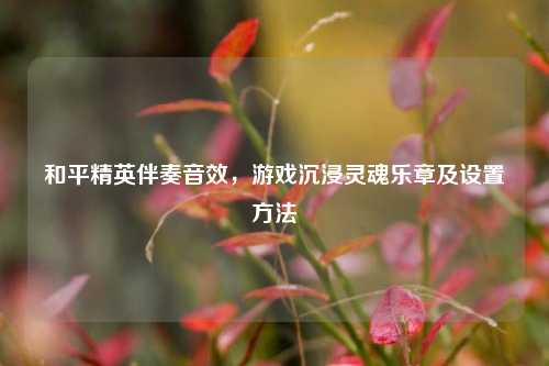 和平精英伴奏音效,游戏沉浸灵魂乐章及设置方法