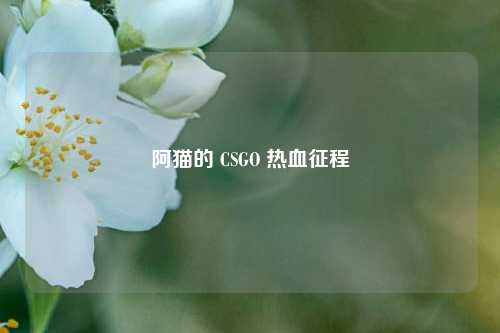 阿猫的 CSGO 热血征程