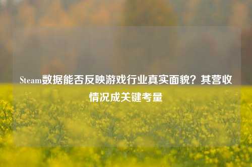 Steam数据能否反映游戏行业真实面貌?其营收情况成关键考量
