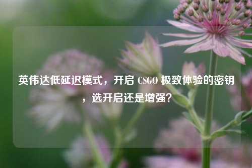 英伟达低延迟模式,开启 CSGO 极致体验的密钥,选开启还是增强?
