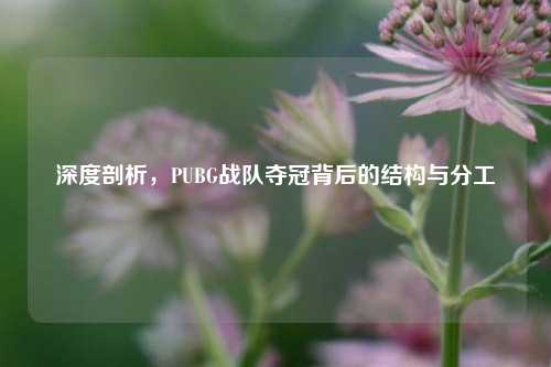 深度剖析,PUBG战队夺冠背后的结构与分工