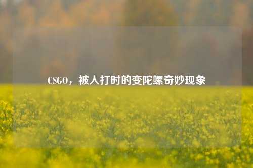 CSGO,被人打时的变陀螺奇妙现象