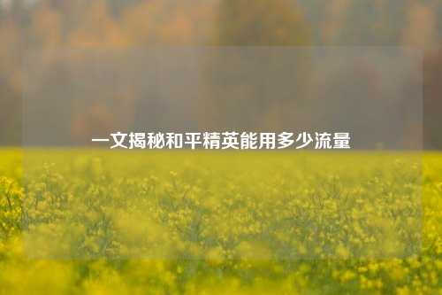 一文揭秘和平精英能用多少流量