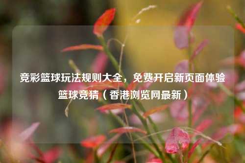 竞彩篮球玩法规则大全,免费开启新页面体验篮球竞猜(香港浏览网最新)