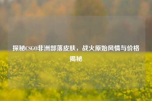 探秘CSGO非洲部落皮肤，战火原始风情与价格揭秘