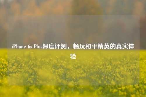 iPhone 6s Plus深度评测，畅玩和平精英的真实体验