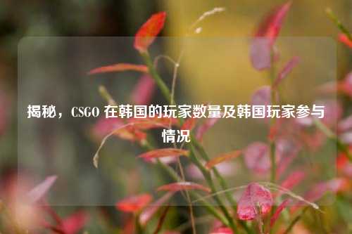 揭秘,CSGO 在韩国的玩家数量及韩国玩家参与情况