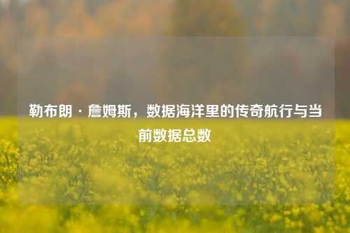 勒布朗·詹姆斯,数据海洋里的传奇航行与当前数据总数