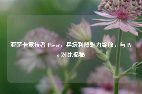 亚萨卡竞技者 Power,乒坛利器魅力绽放,与 Pro 对比揭秘