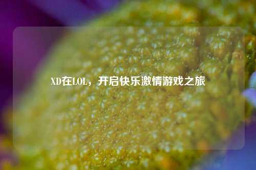 XD在LOL，开启快乐激情游戏之旅