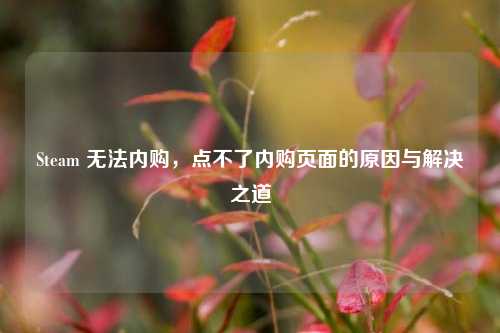 Steam 无法内购，点不了内购页面的原因与解决之道