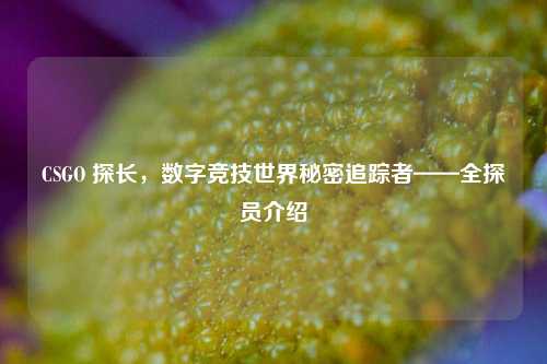 CSGO 探长,数字竞技世界秘密追踪者——全探员介绍