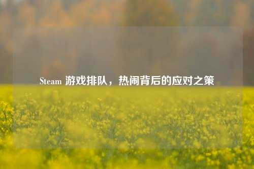Steam 游戏排队,热闹背后的应对之策