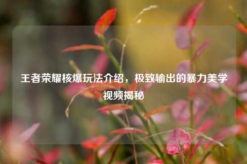 王者荣耀核爆玩法介绍,极致输出的暴力美学视频揭秘