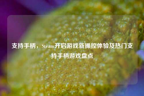 支持手柄，Steam开启游戏新操控体验及热门支持手柄游戏盘点