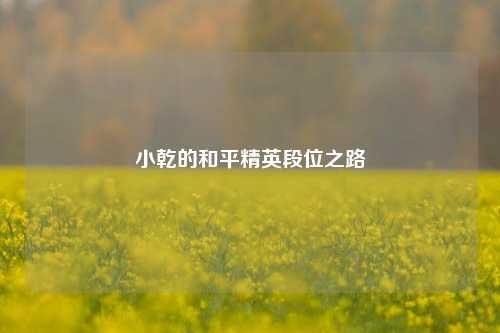小乾的和平精英段位之路