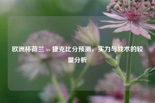 欧洲杯荷兰 vs 捷克比分预测，实力与战术的较量分析