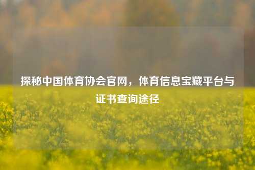 探秘中国体育协会官网,体育信息宝藏平台与证书查询途径