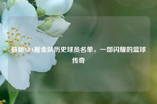 最新NBA掘金队历史球员名单,一部闪耀的篮球传奇