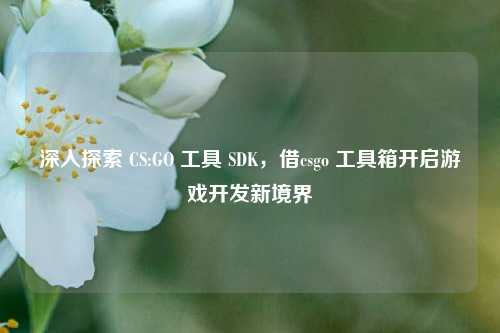 深入探索 CS:GO 工具 SDK,借csgo 工具箱开启游戏开发新境界