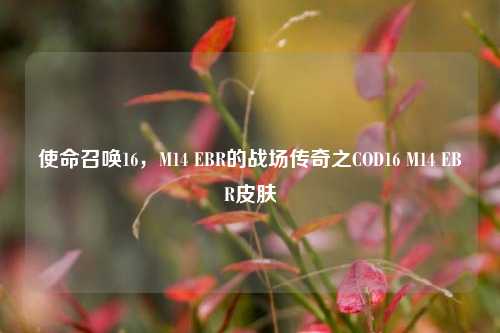 使命召唤16,M14 EBR的战场传奇之COD16 M14 EBR皮肤