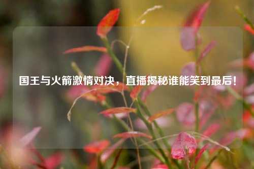 国王与火箭激情对决,直播揭秘谁能笑到最后!