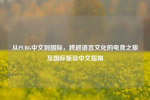 从PUBG中文到国际,跨越语言文化的电竞之旅及国际版设中文指南