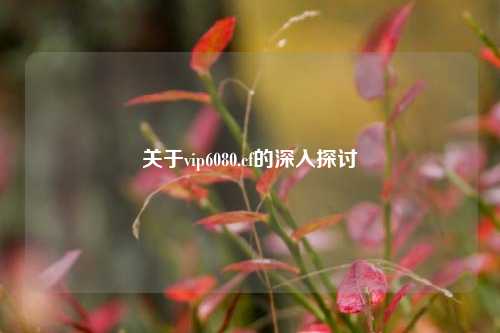 关于vip6080.cf的深入探讨