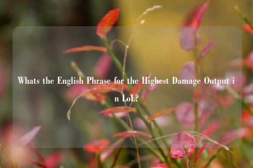 Whats the English Phrase for the Highest Damage Output in LoL?
