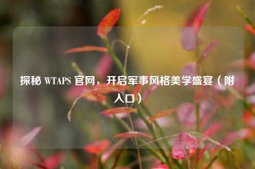 探秘 WTAPS 官网,开启军事风格美学盛宴(附入口)