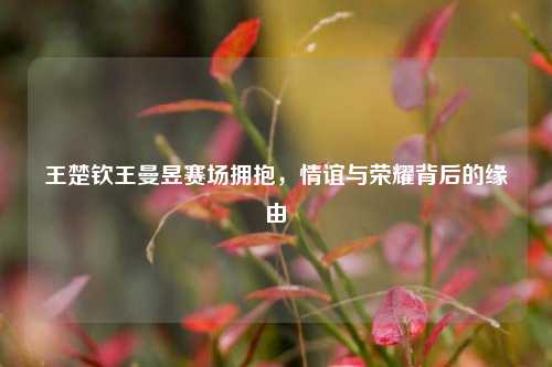 王楚钦王曼昱赛场拥抱,情谊与荣耀背后的缘由