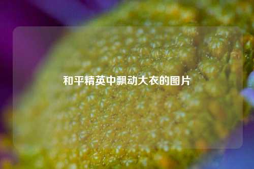 和平精英中飘动大衣的图片