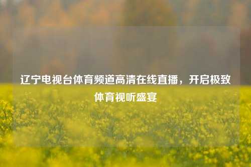 辽宁电视台体育频道高清在线直播，开启极致体育视听盛宴