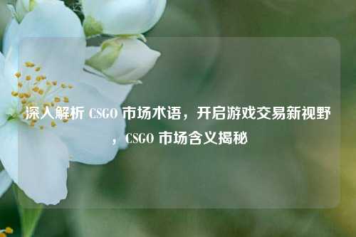 深入解析 CSGO 市场术语，开启游戏交易新视野，CSGO 市场含义揭秘