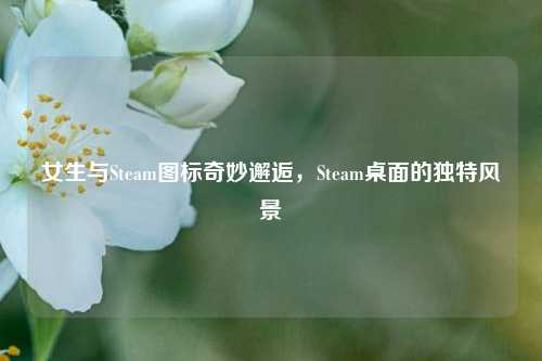 女生与Steam图标奇妙邂逅,Steam桌面的独特风景